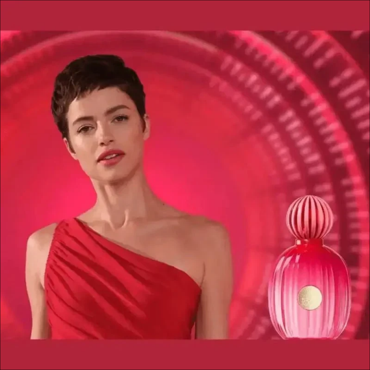 Banderas The Icon Eau de Parfum 100ml Feminino - Fragrância Floral Oriental, Lançamento 2023 - Jm Grife - Banderas The Icon Eau de Parfum 100ml Feminino - Fragrância Floral Oriental, Lançamento 2023 - - Jm Grife - 100ml, 50 mL, banderas, feminino, fragr, icon, Jm Grife, moderna, mulher, ncia, notas, para - Jm Grife