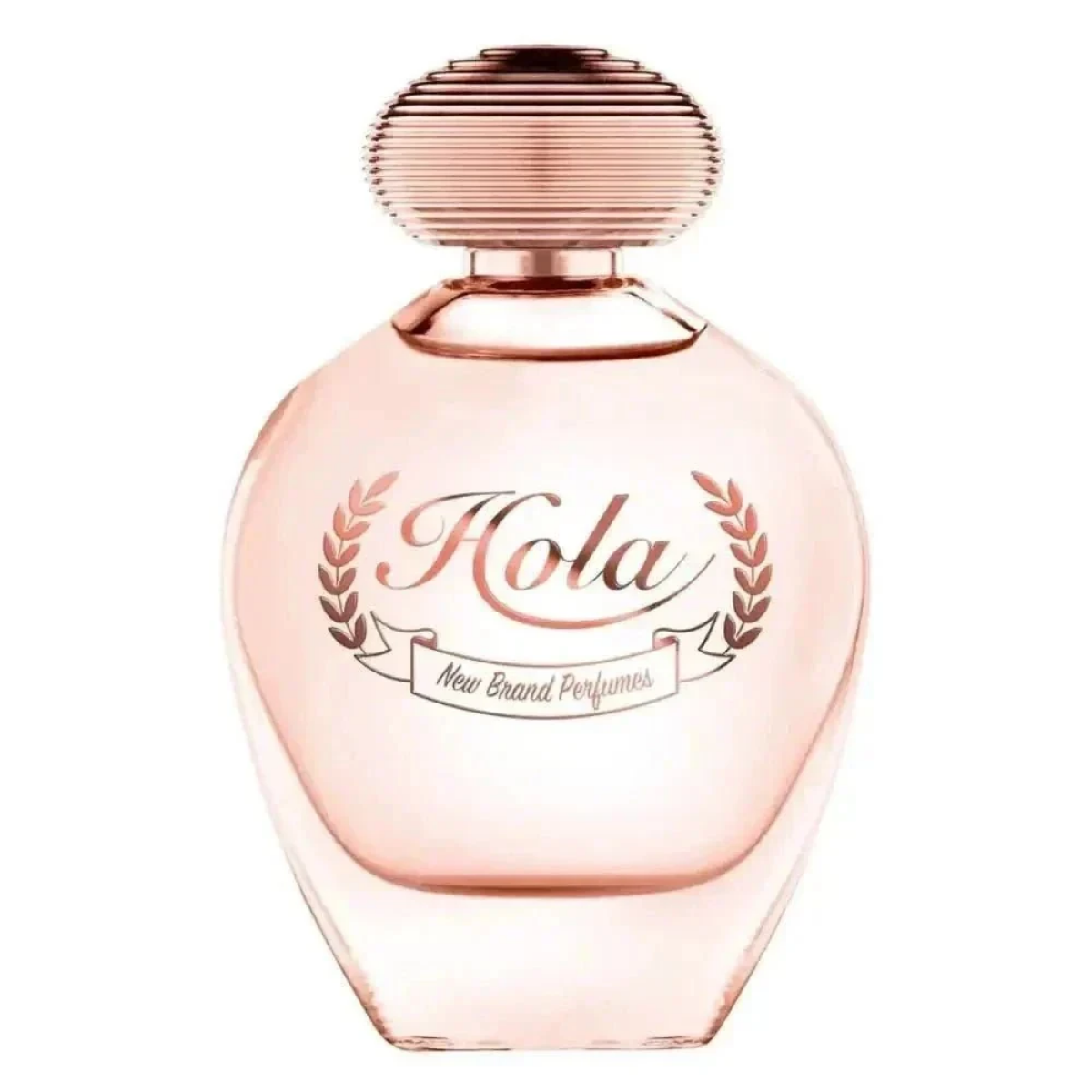 Hola New Brand Eau De Parfum - Perfume Feminino 100ml - Jm Grife - Hola New Brand Eau De Parfum - Perfume Feminino 100ml - - Jm Grife - 100ml, aqui, brand, celebra, feminina, feminino, floral, grifehola, hola, issues, Jm Grife, mais, MLB1874429290, mulher, ncia, parfum, perfume, representa - Jm Grife