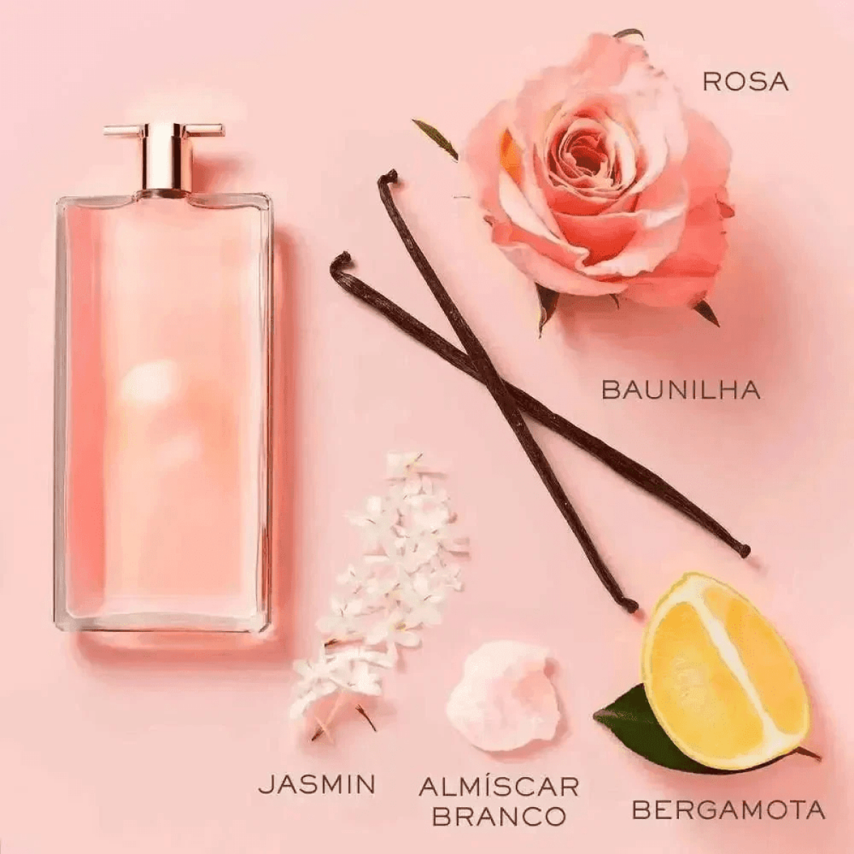 Idôle Lancôme Eau De Parfum 75ml - Fragrância Floral Com Notas De Rosa, Jasmim E Baunilha - Jm Grife - Idôle Lancôme Eau De Parfum 75ml - Fragrância Floral Com Notas De Rosa, Jasmim E Baunilha - - . - delicada, fragr, inspire, issues, lanc, ncia, parfum - Jm Grife