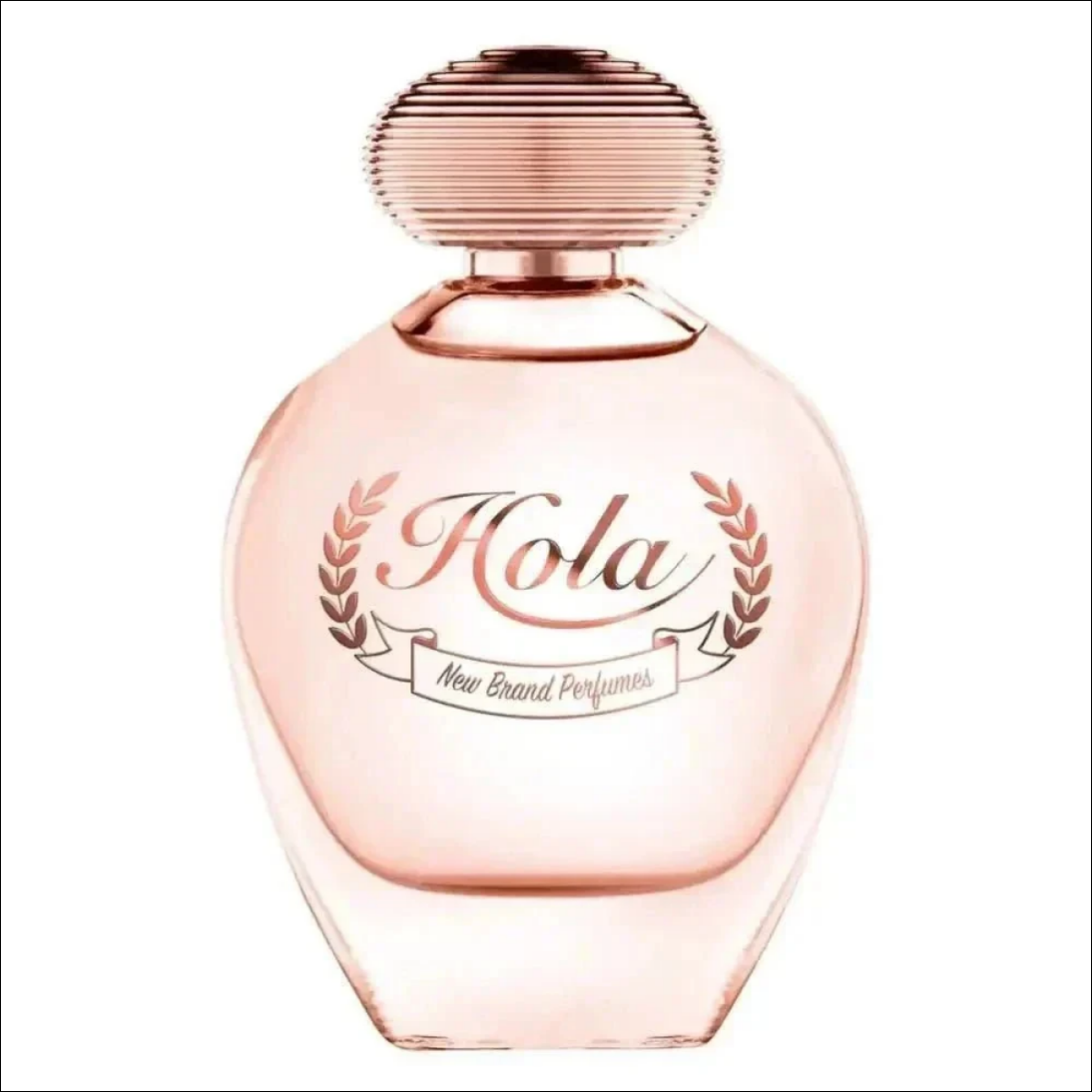 Hola New Brand Eau De Parfum - Perfume Feminino 100ml - Jm Grife - Hola New Brand Eau De Parfum - Perfume Feminino 100ml - - Jm Grife - 100ml, aqui, brand, celebra, feminina, feminino, floral, grifehola, hola, Jm Grife, mais, MLB1874429290, mulher, ncia, parfum, perfume, representa - Jm Grife