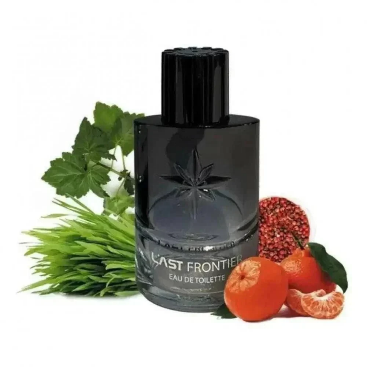 Linn Young Last Frontier 100ml EDT Masculino - Perfume Amadeirado e Fresco para o Dia a Dia - Jm Grife - Linn Young Last Frontier 100ml EDT Masculino - Perfume Amadeirado e Fresco para o Dia a Dia - - Jm Grife - 100ml, 8715658390374, frontier, Jm Grife, last, linn, masculino, ncia, notas, para, perfume, young - Jm Grife