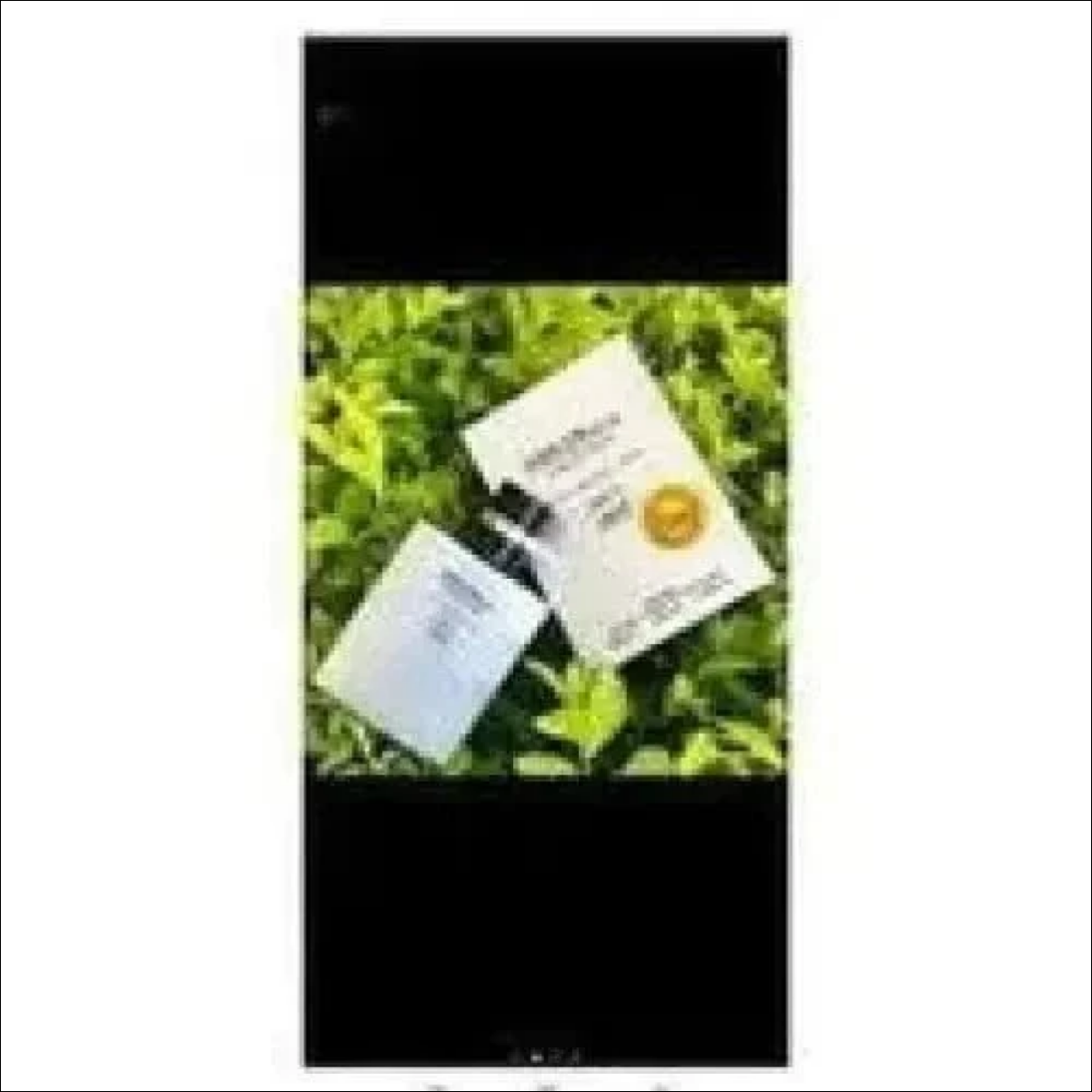 Perfume Dream Brand em Frasco e Caixa Prata com Frete Grátis - Jm Grife - Perfume Dream Brand em Frasco e Caixa Prata com Frete Grátis - - Jm Grife - 4712865212950, brand, collection, dream, frag, Jm Grife, MLB5230535588, perfume - Jm Grife
