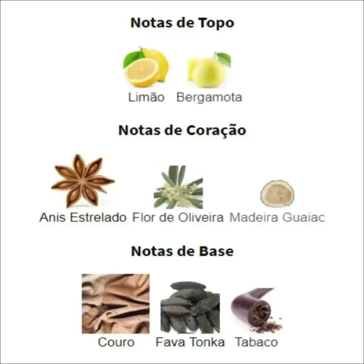 Perfumes Código Exclusivo Masculino Amakha Paris com Frascos Azul e Dourado - Jm Grife - Perfumes Código Exclusivo Masculino Amakha Paris com Frascos Azul e Dourado - - Jm Grife - Jm Grife, MLB4729020404 - Jm Grife