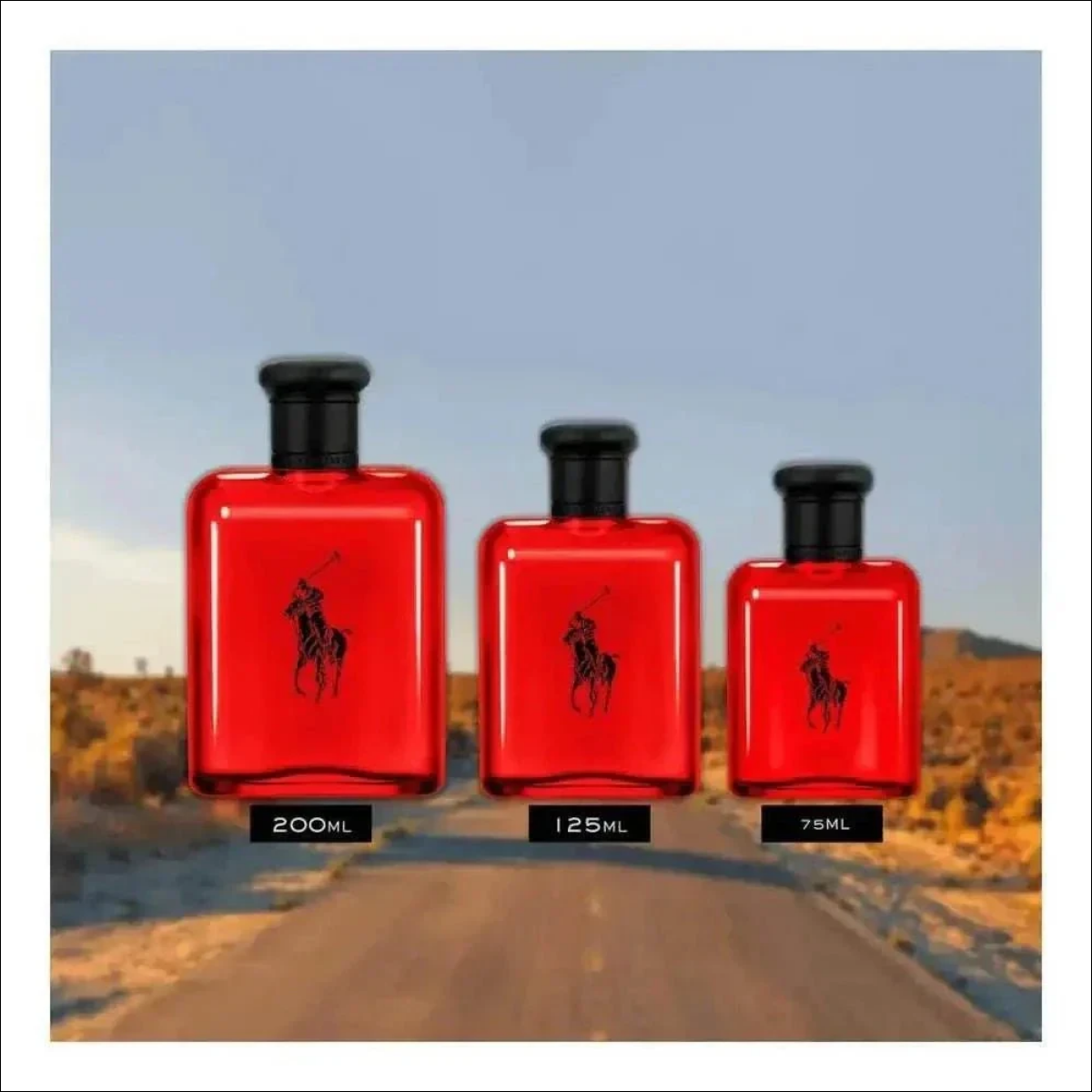 Polored Ralph Lauren Eau De Toilette Perfume Masculino 200ml - Jm Grife