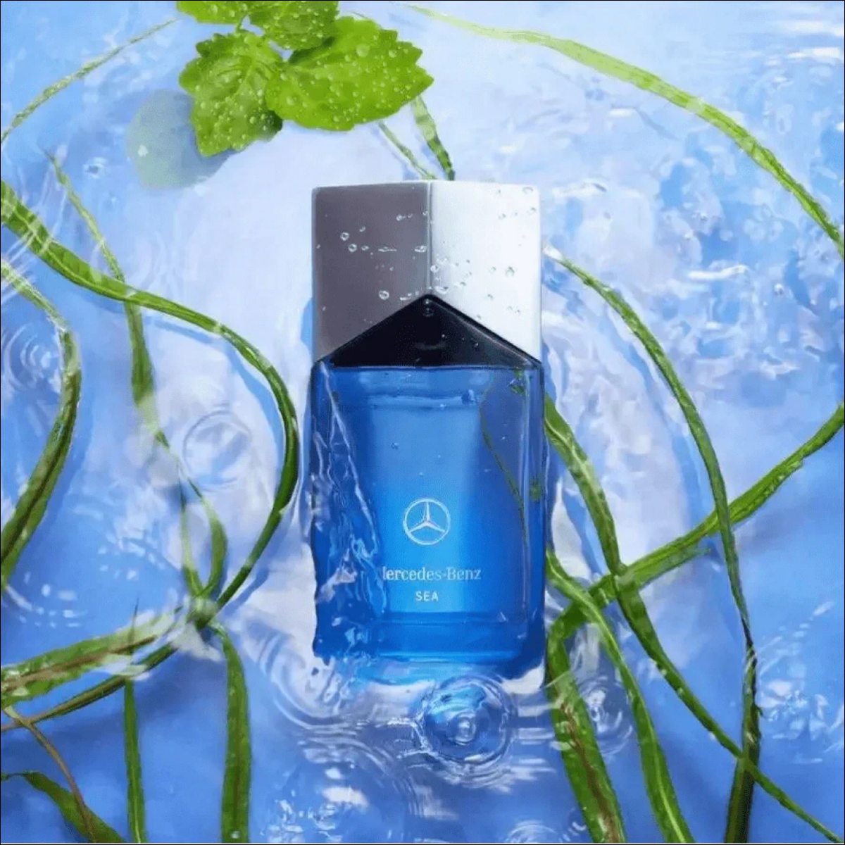 Trilogy Mercedes-benz Sea Edp 100ml Para Masculino Recarregável - Jm Grife