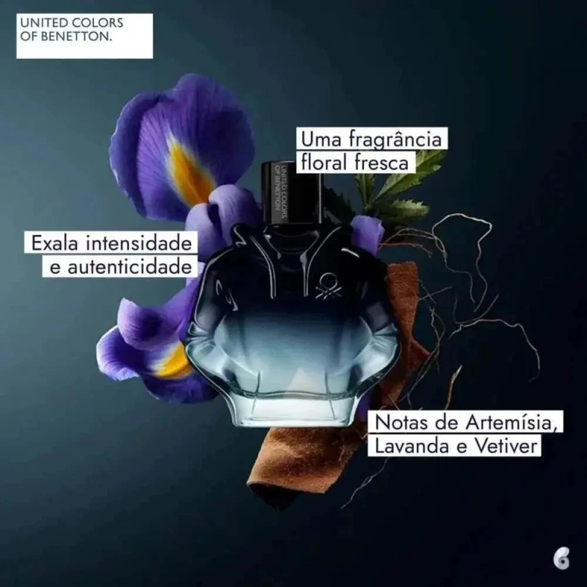 We Are Tribe Intense Benetton United Colors Eau De Parfum - Perfume Masculino 90ml - Jm Grife - We Are Tribe Intense Benetton United Colors Eau De Parfum - Perfume Masculino 90ml - - Jm Grife - benetton, colors, descri, incluiu, intense, issues, Jm Grife, loja, masculino, MLB4649015308, parfum, perfume, tribe, united - Jm Grife