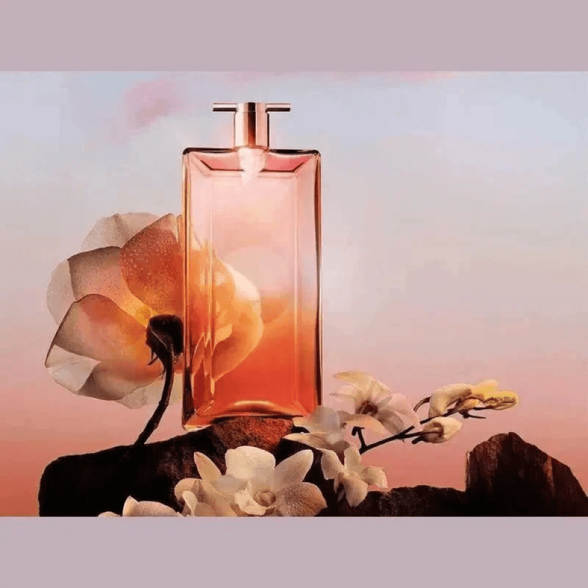 Idôle Lancôme Eau De Parfum 75ml - Fragrância Floral Com Notas De Rosa, Jasmim E Baunilha - Jm Grife - Idôle Lancôme Eau De Parfum 75ml - Fragrância Floral Com Notas De Rosa, Jasmim E Baunilha - - . - delicada, fragr, inspire, issues, lanc, ncia, parfum - Jm Grife